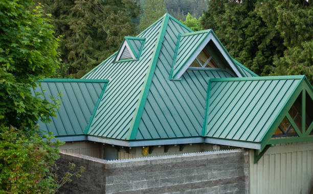 Best Roof Maintenance and Cleaning  in Gages Lake, IL