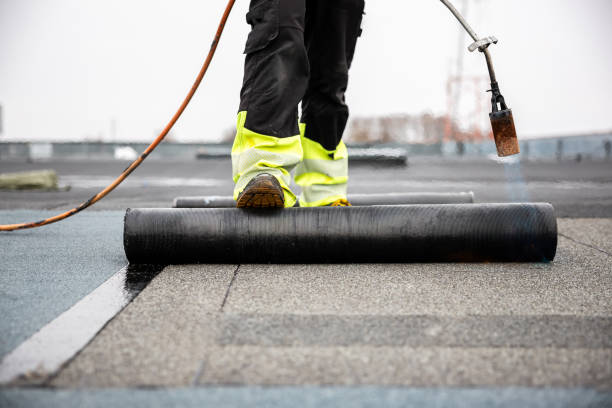 Best Roof Coating and Sealing  in Gages Lake, IL
