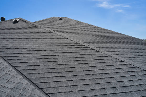 Best Roof Coating and Sealing  in Gages Lake, IL